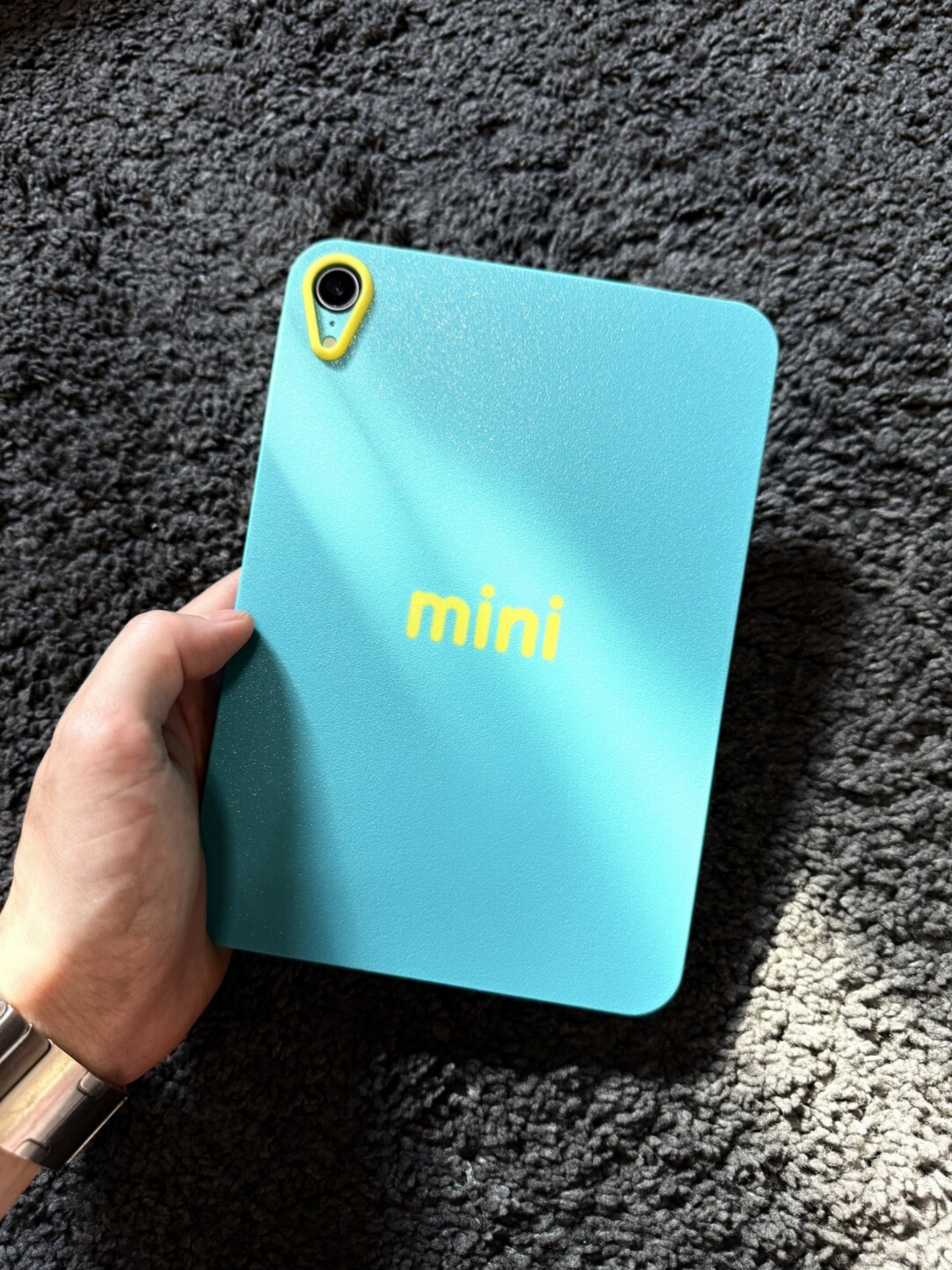 dopamine color iPad case for iPad Pro and iPad mini