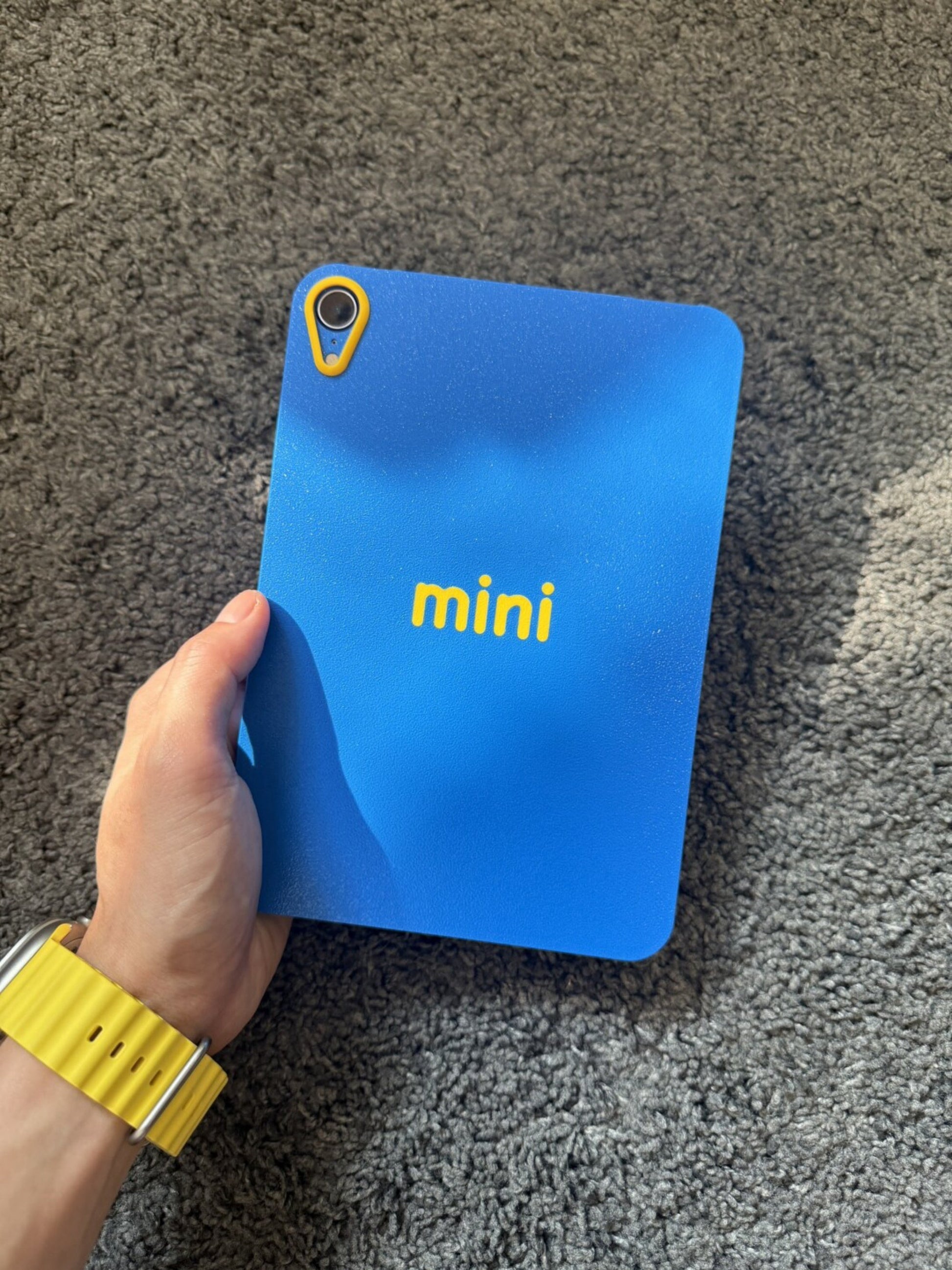 dopamine color iPad case for iPad Pro and iPad mini