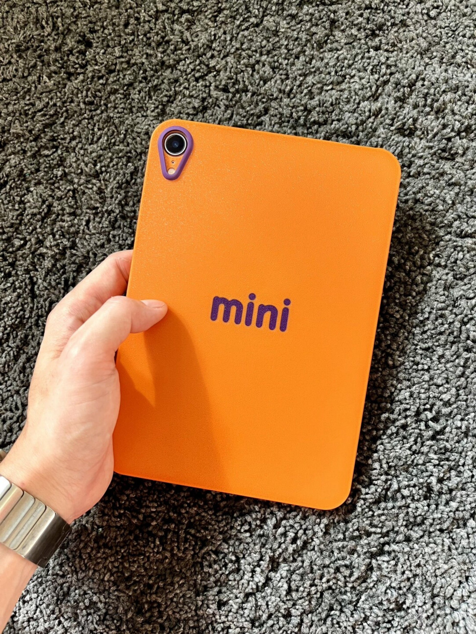 dopamine color iPad case for iPad Pro and iPad mini